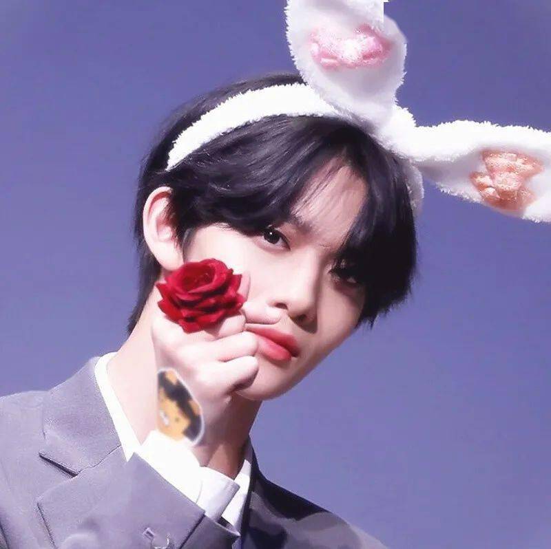 【微信头像】裴珍映