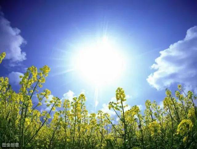 心理学:三个太阳,哪个更温暖人心?测你十年以后会获得哪种生活