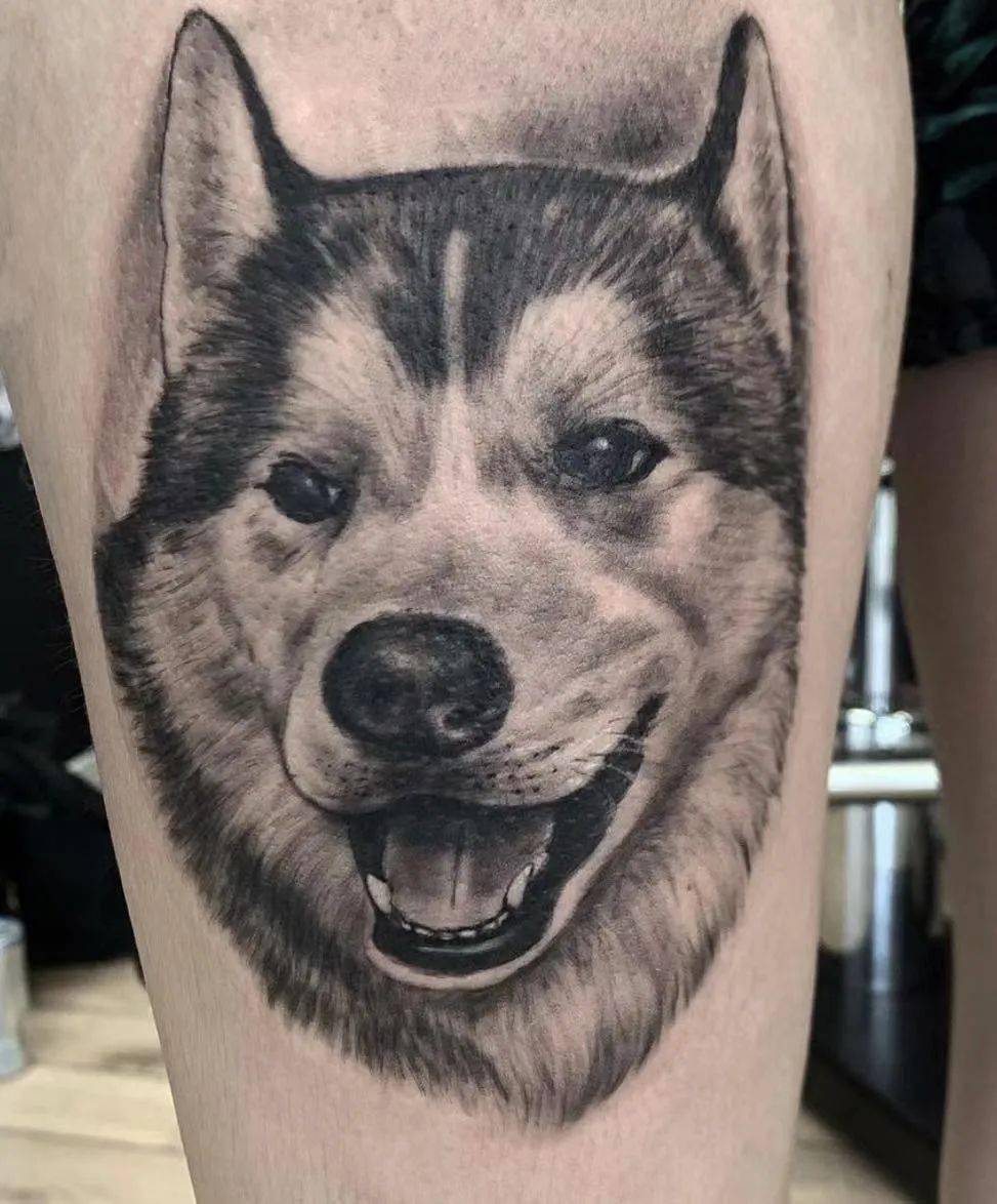 傻傻惹人爱的二哈哈士奇纹身