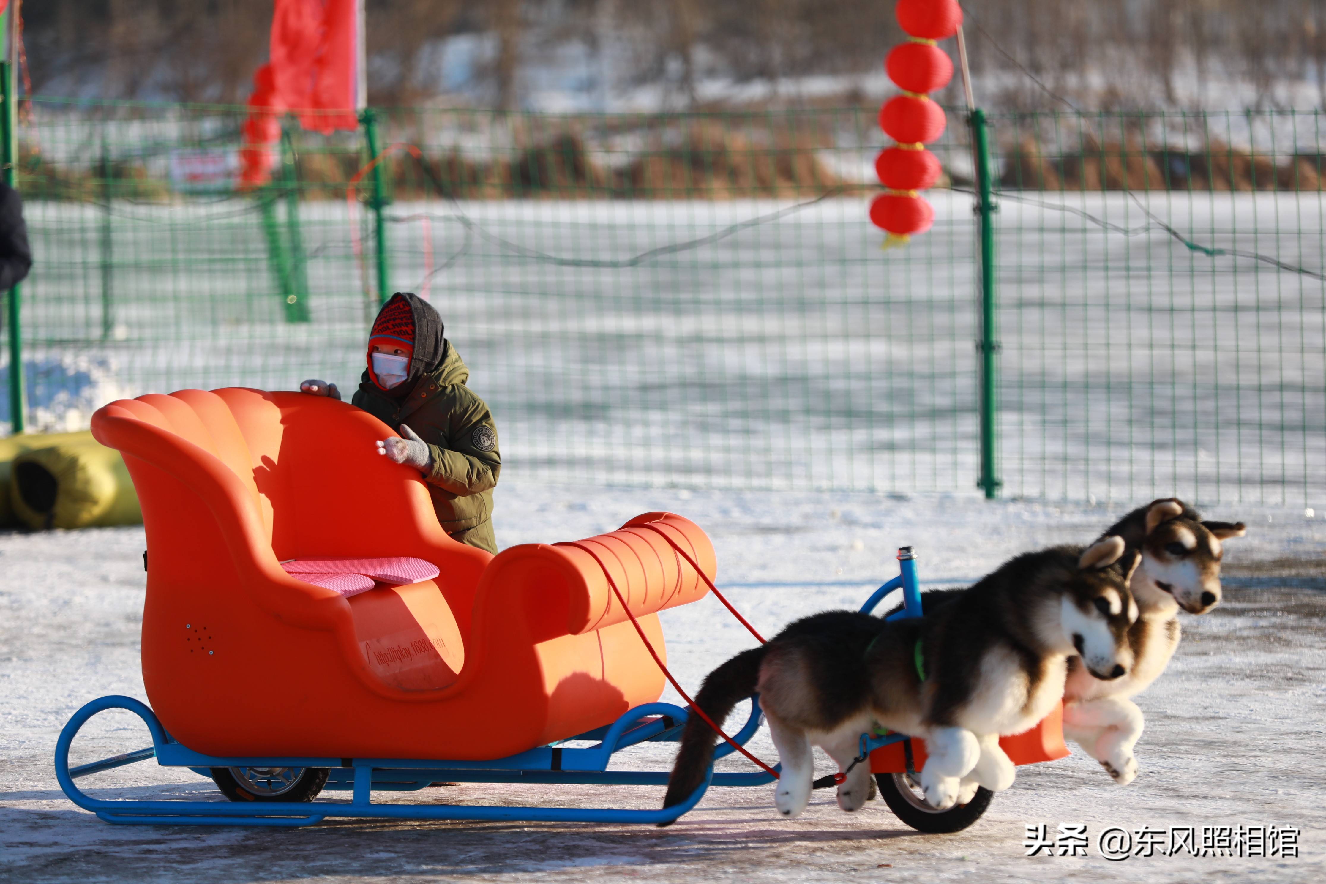 玩具狗拉爬犁人肉大蜈蚣长春市民嗨翻冰雪