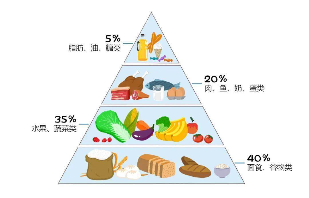 健康饮食金字塔】