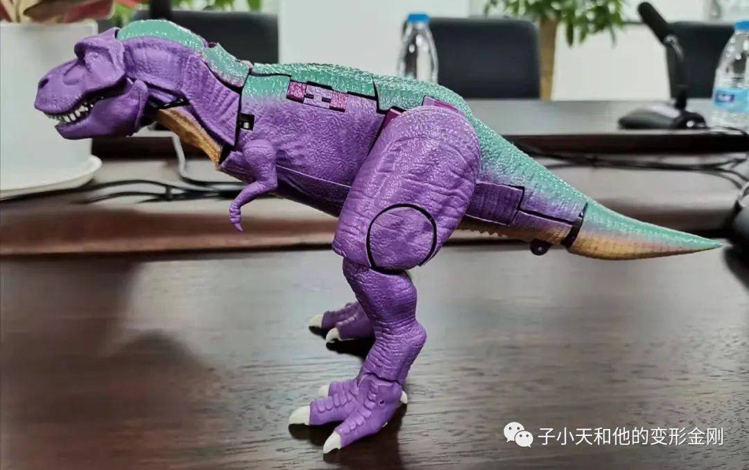 评玩具子小天粑粑总测评变形金刚王国领袖级霸王龙除了贵哪都好