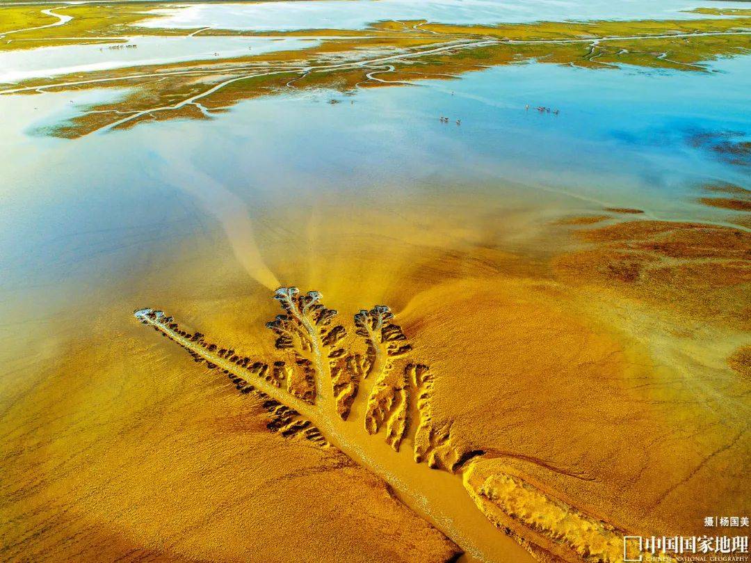 质自然岸线而它另一醒目的特点93%都是粉砂淤泥质海岸有几十公里的