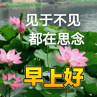320_320gif 动态图 动图