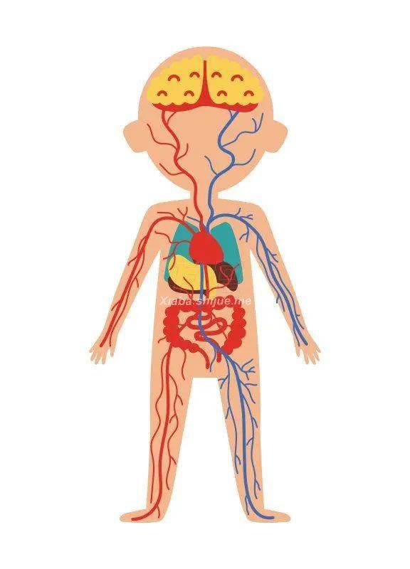 俺有一件不怕冷的大衣你有吗