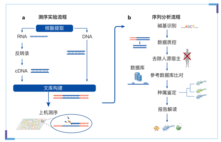 mngs能否拿下病原微生物检测千亿市场