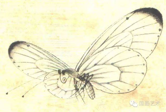 图文教程李晓明工笔蝴蝶设色步骤示范一