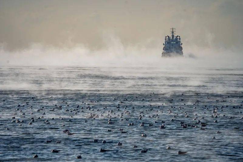 青岛"海浩"现象(青岛晚报 宋新华 摄)
