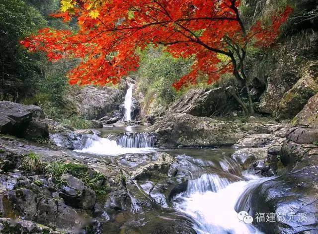 九阜山青龍嶺風光來源:九阜山生態旅遊區版權歸原作者所有侵權請