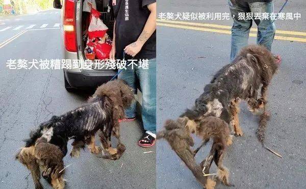 路边捡了一具皮包骨骷髅,看清正脸后,哭了.