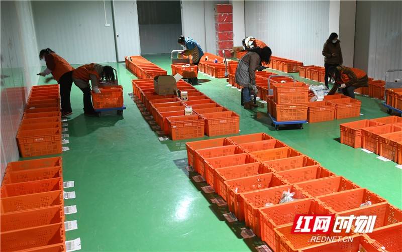 组图丨宁远网格仓电商分拣忙