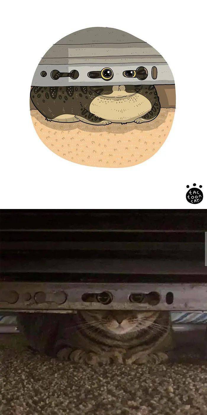 我把那些网上有名的猫梗图都画了出来，你能猜出它的原图是哪个吗？_memes