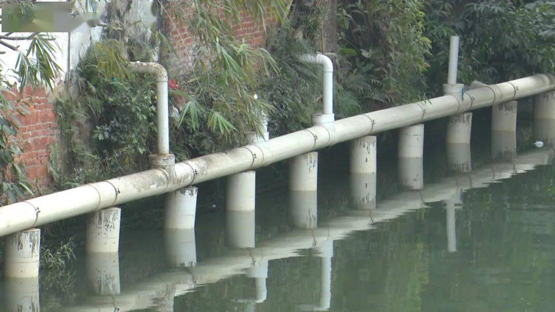 加强污水处理能力让小榄河涌实现长治久清