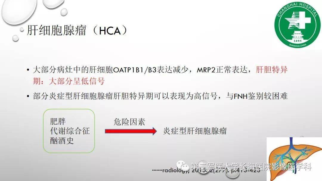 普美显丨肝胆特异性MRI对比剂-钆塞酸二钠Gd-EOB-DTPA-搜狐大视野-搜狐新闻