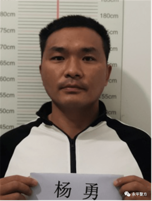 抓获四十余名犯罪嫌疑人!永平警方公开征集该团伙违法犯罪线索