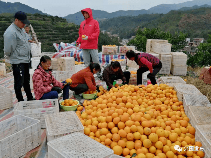 兴国电亮脱贫致富路