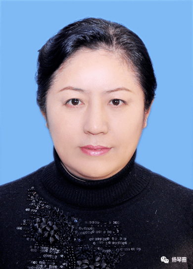 扬琴圈王丽伟中国扬琴名人录带你探索扬琴表演艺术发展