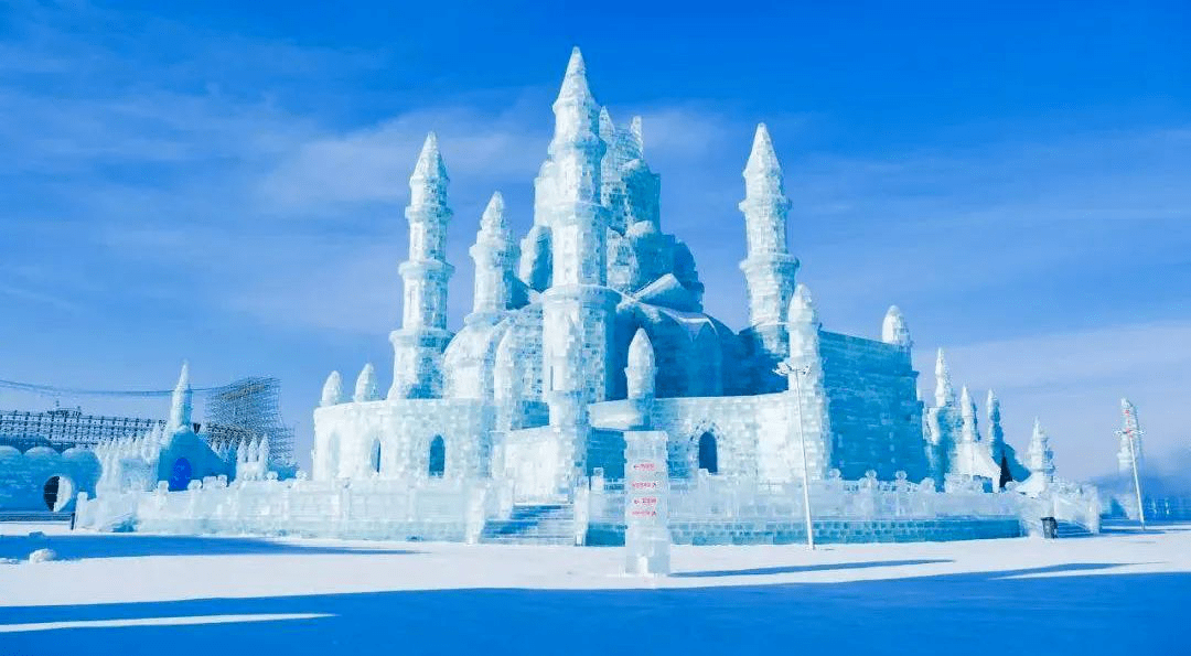 "每日一部好电影"冰雪节7天打卡有奖活动