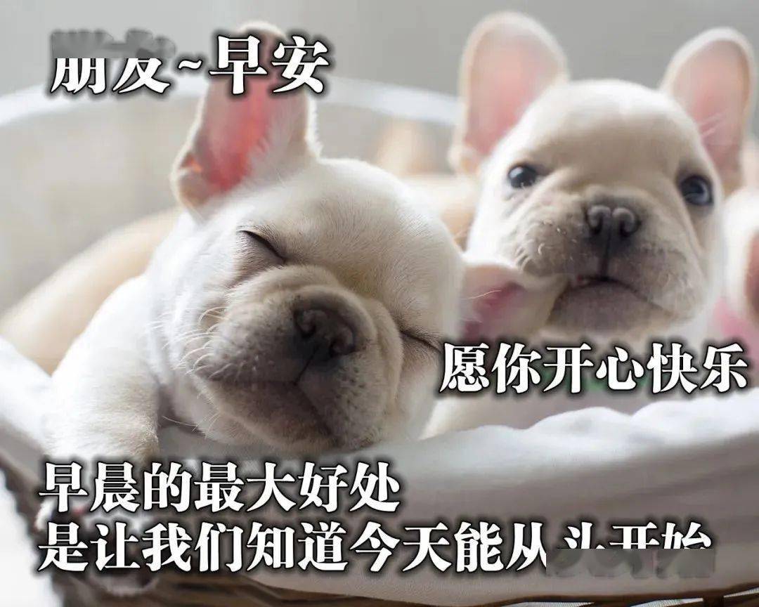 大家早上好一声问候万分祝福