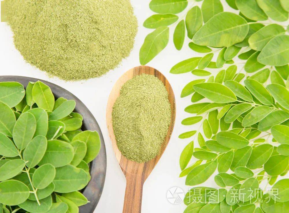 盘点8种叶子能食用的树