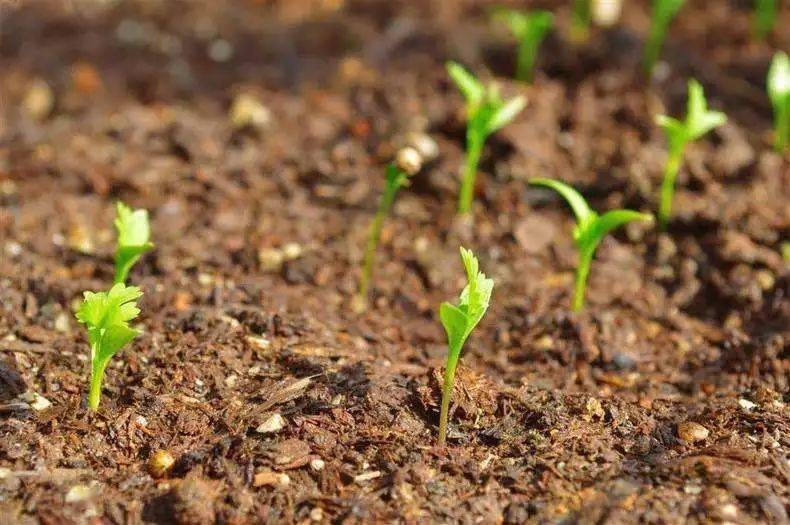 生根發芽10分鐘親子游戲室