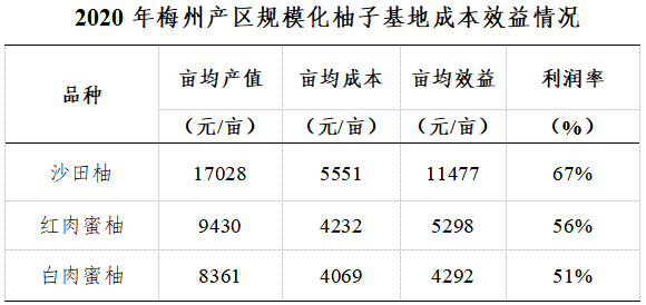 本季梅州產區沙田柚品質上佳,行情上揚,行業效益同比增長.