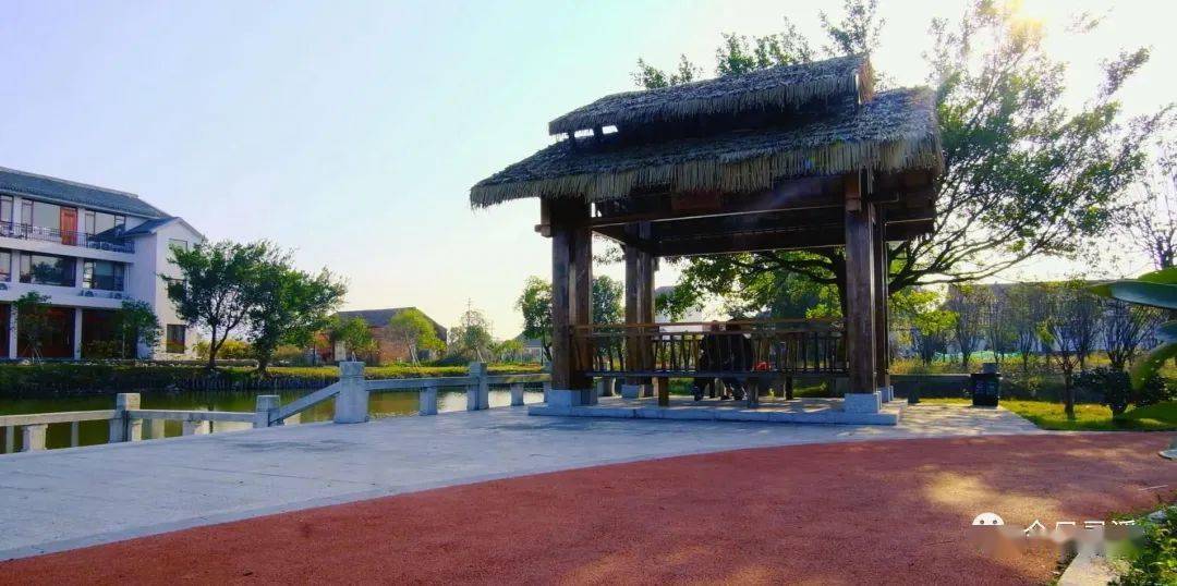 离苍南县城45公里这个村美的就像一座大公园共1056人