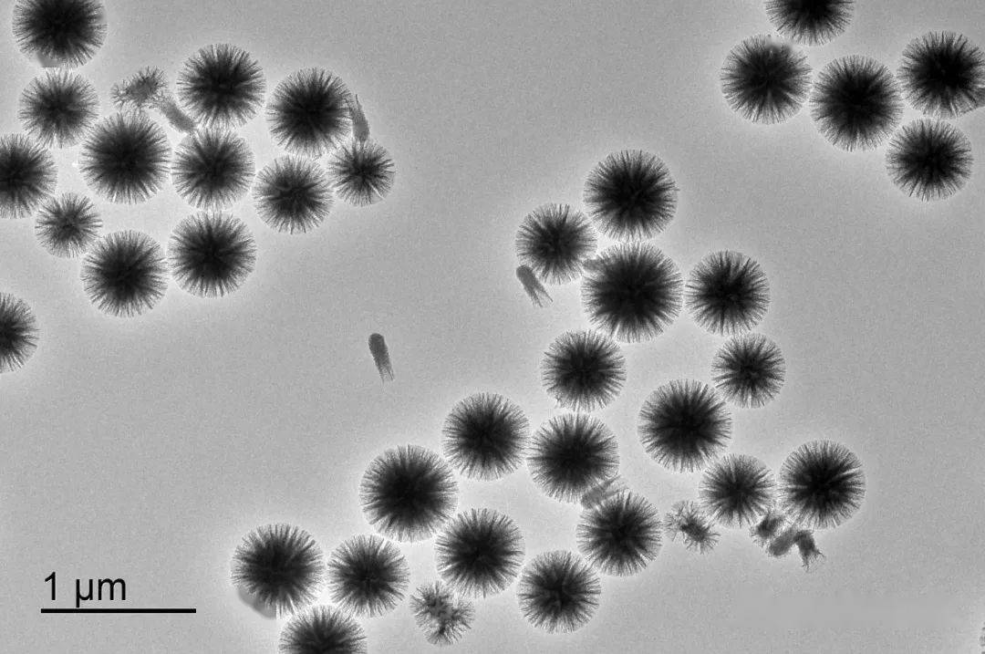 科學闡釋:樹枝狀介孔二氧化硅納米球具備三維中心輻射狀孔道和多級孔