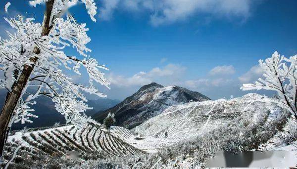 铜钹山雪景图片