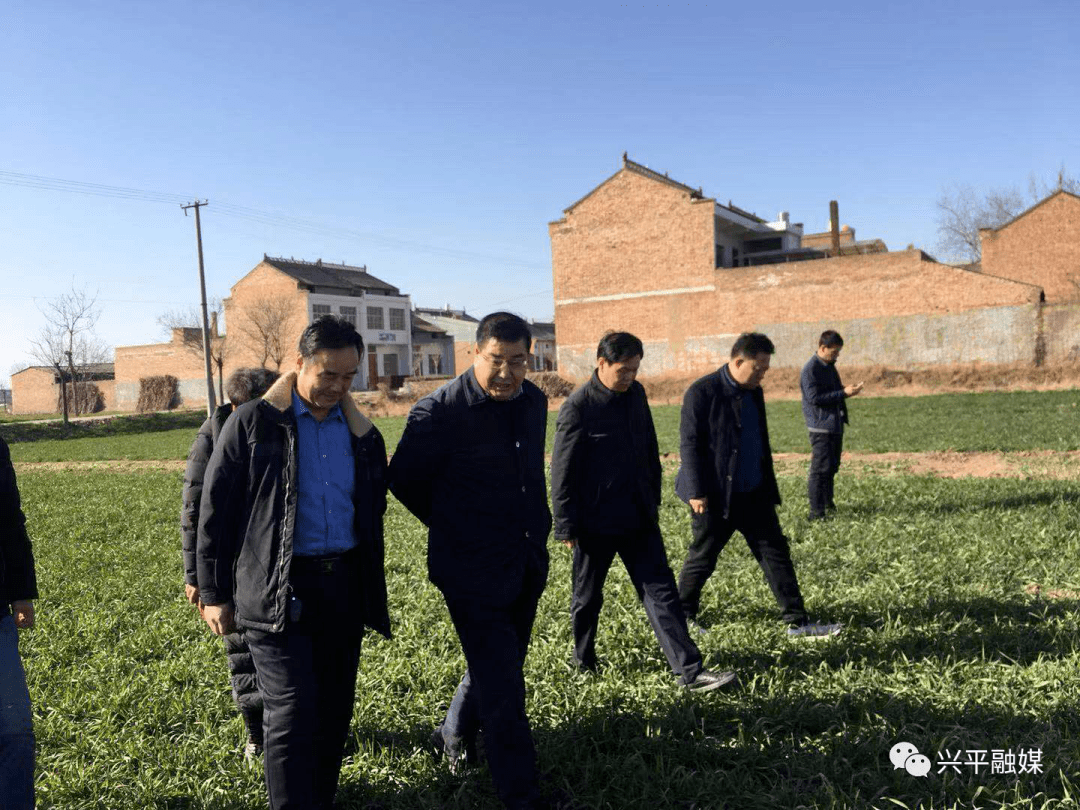 【增量提质 高点开局】咸阳市副市长程建国来我市检查指导小麦条锈病