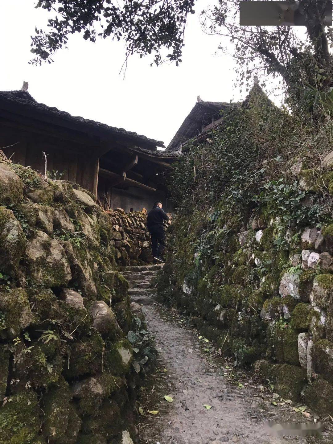 电视剧《江山如此多娇》让牧笛悠扬声远