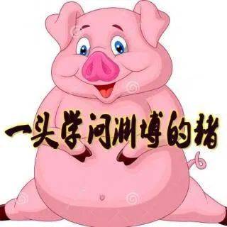 声动你我听小主播谢睿泽讲故事一头学问渊博的猪