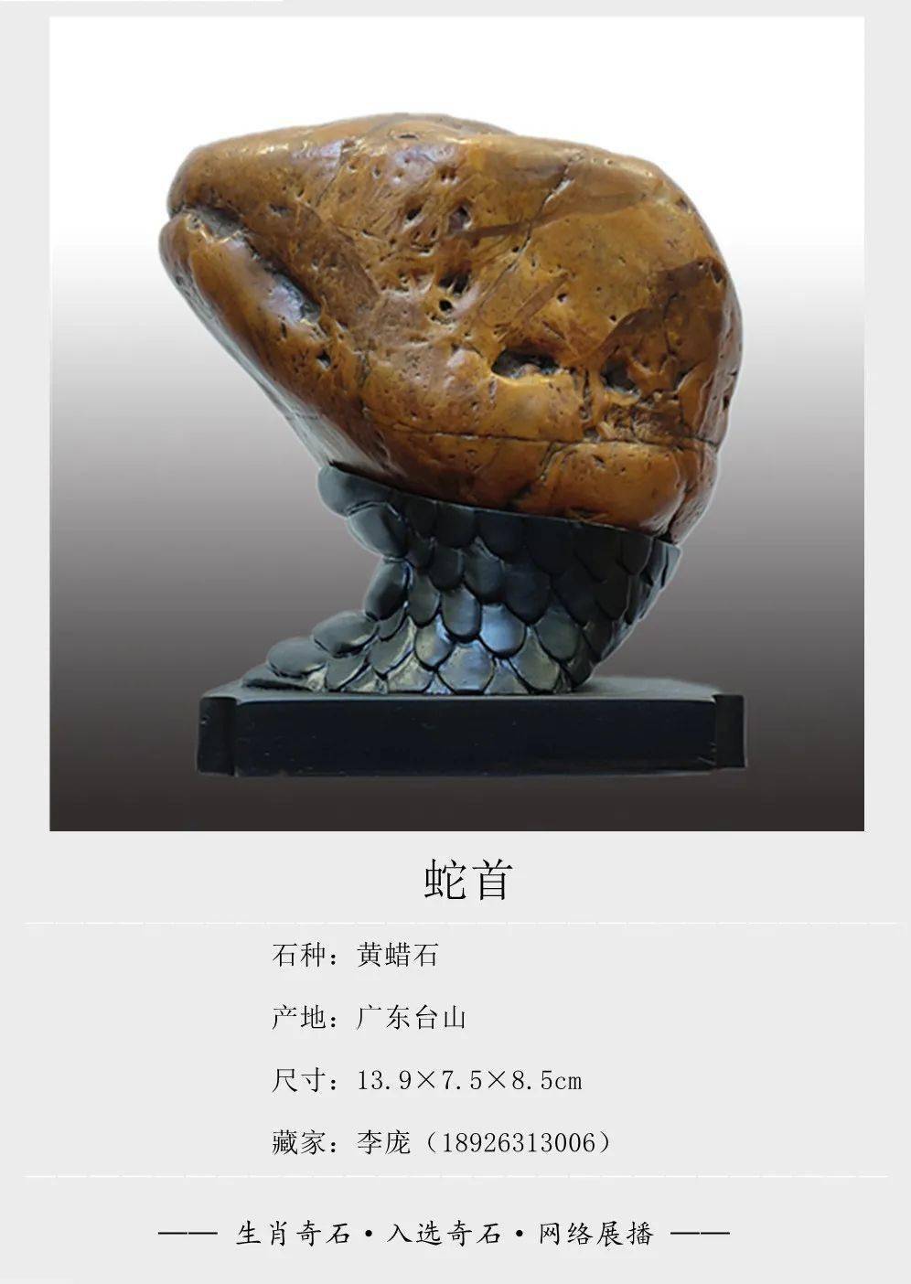 《生肖奇石》展播开始了!入展作品登场!欢迎观展欣赏!