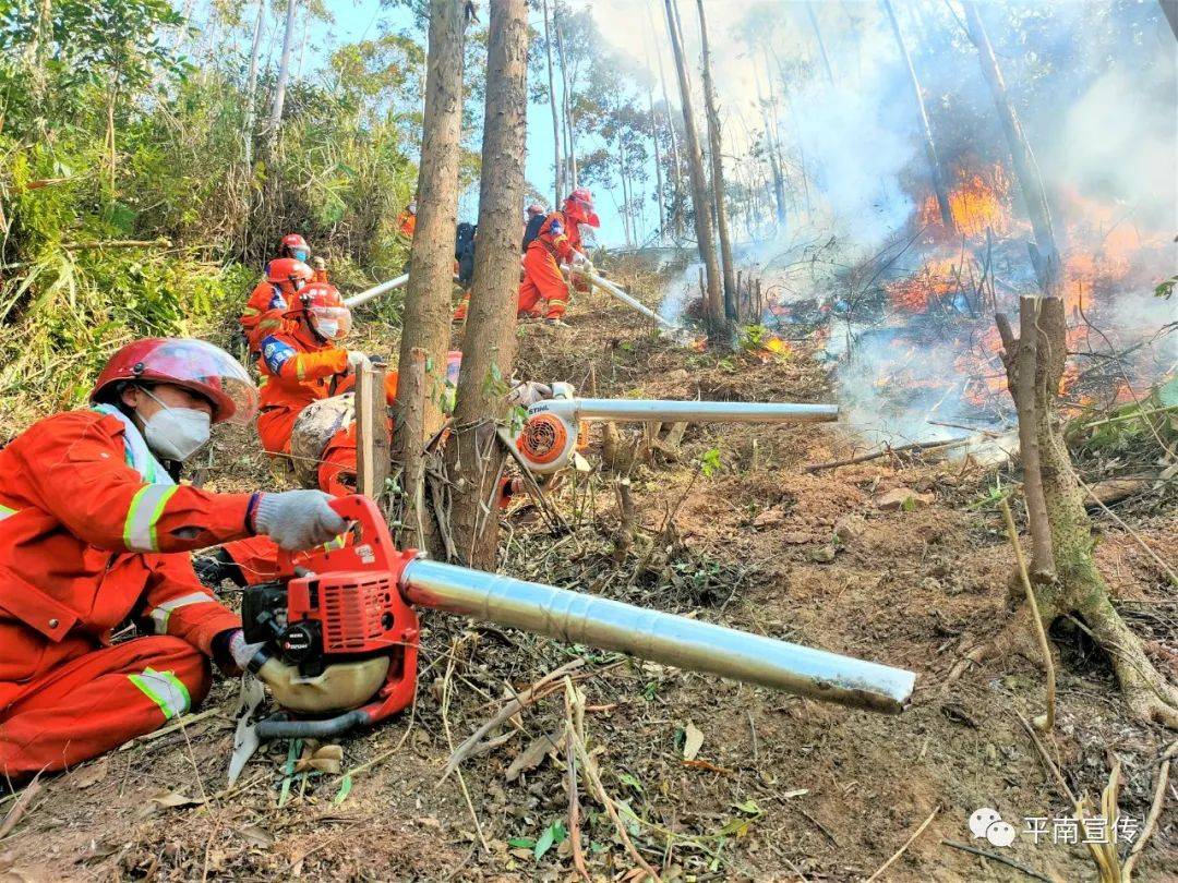 森林防火平南思旺这场大火出动直升机一天一夜才扑灭