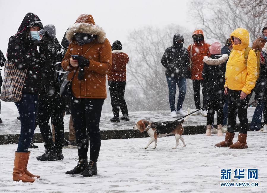 巴黎下雪了