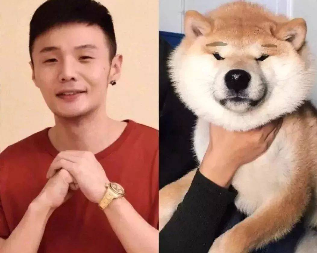 楊丞琳曬出一張照片引起全網爆笑：這是李榮浩的娃嗎？哈哈哈哈哈！ 萌趣萌寵 第19张