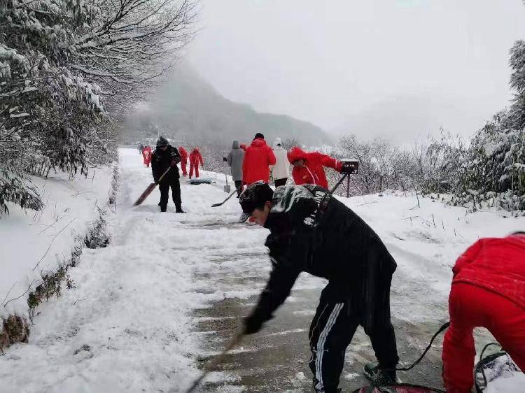 大雪压枝 金佛山景区启动应急措施后已于11时恢复开园