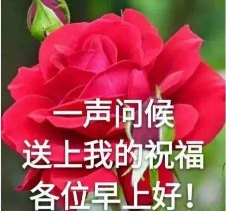 23d2e3fd84804cf9b6bbe99e18be1b7a.jpeg