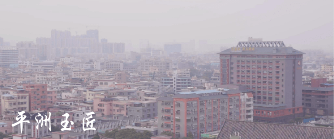 平洲多少人口_博社村人口多少