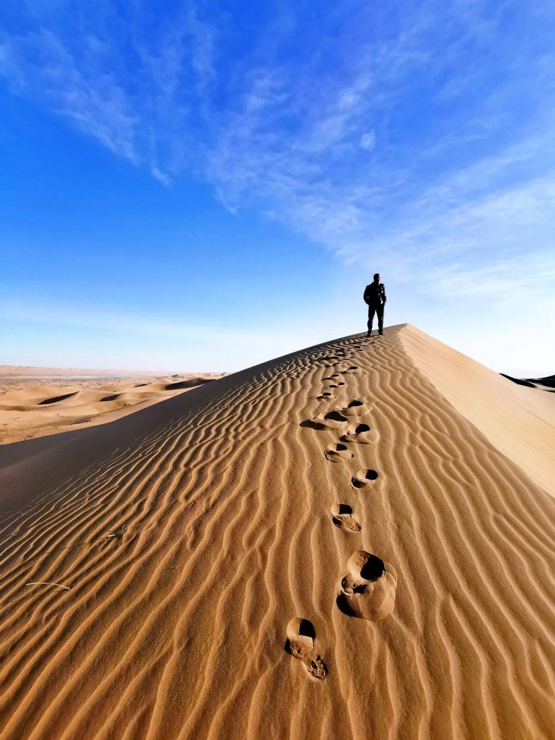 103761荐游丨追寻大漠孤烟天鹅湖畔的一帘幽梦