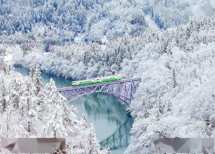 每帧都是桌面 日本最浪漫的8条雪国列车 冬日限定绝景简直美翻了 电车