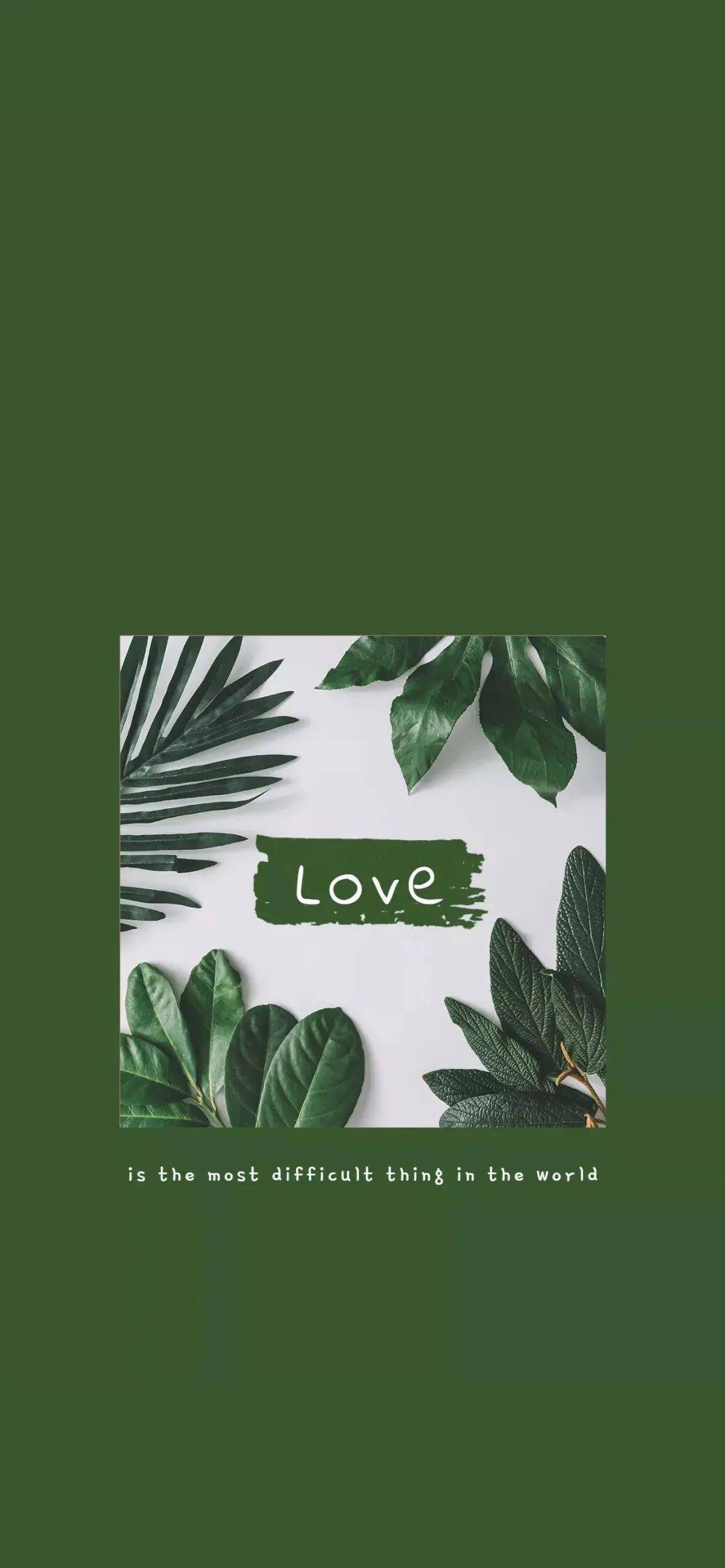 绿色壁纸 | 一个一见倾心