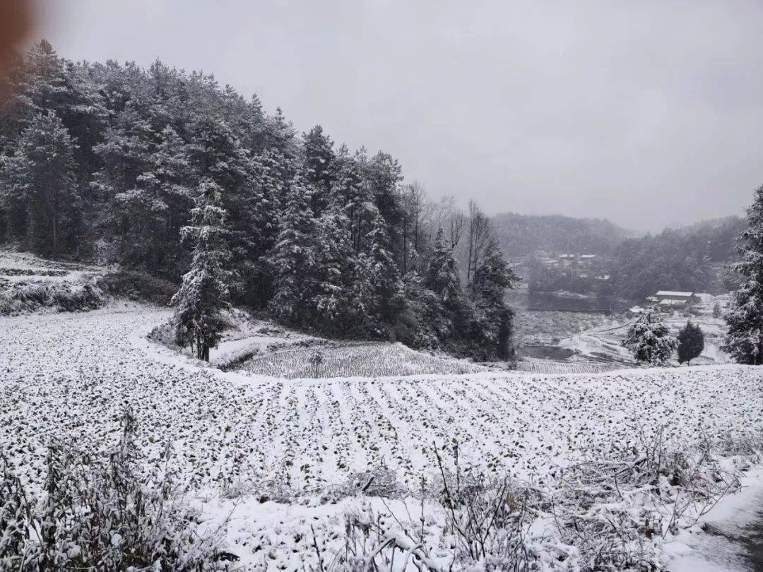 餘慶縣城沒下雪