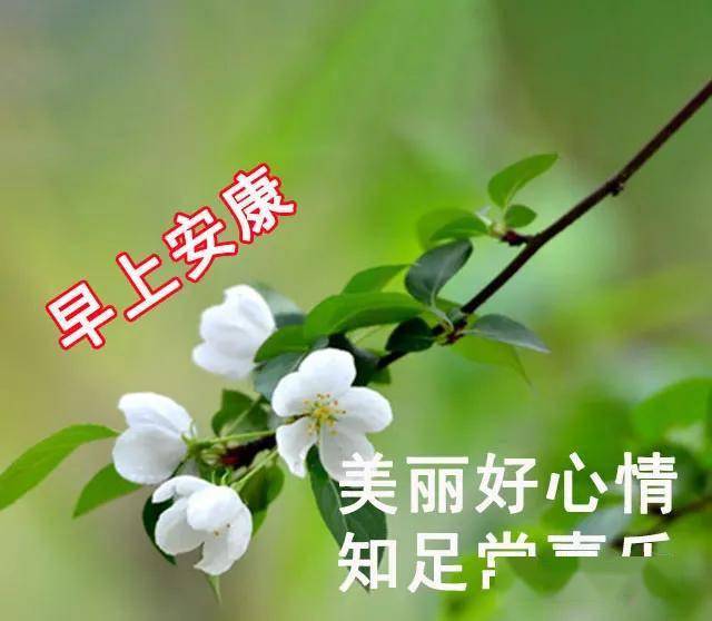 7711b75c06d4488a9d90d712ea9e4a5e.jpeg
