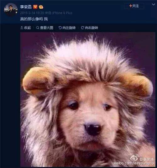 楊丞琳曬出一張照片引起全網爆笑：這是李榮浩的娃嗎？哈哈哈哈哈！ 萌趣萌寵 第11张