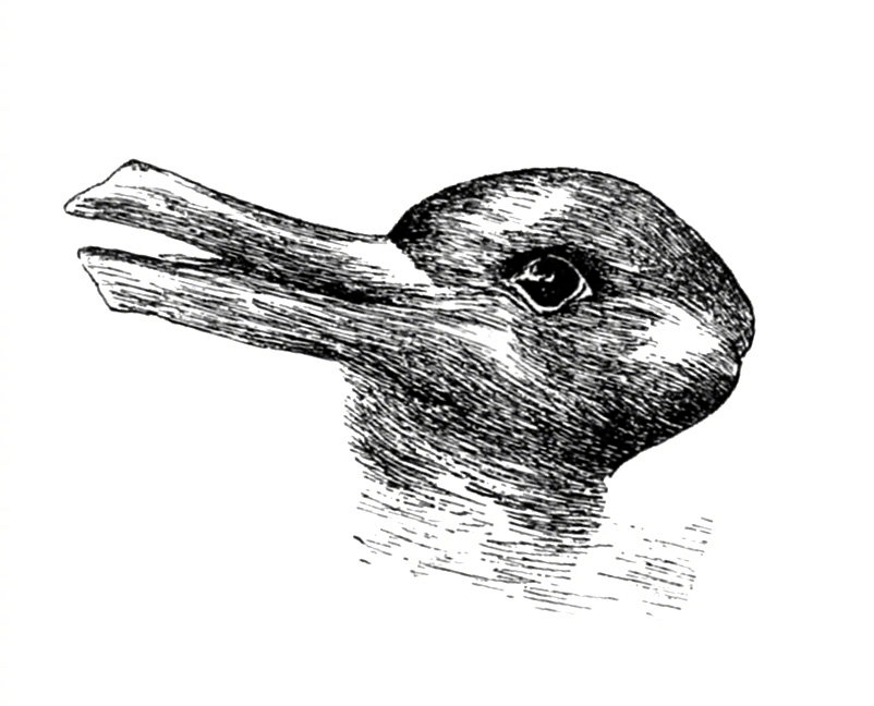 抄袭还是重构广美教授苦思20年的鸭兔声称不怕法律制裁