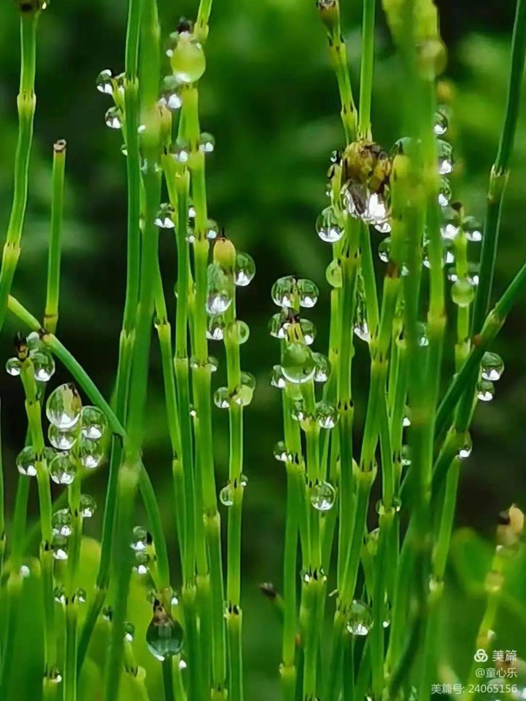 美文,美景,养眼,养心