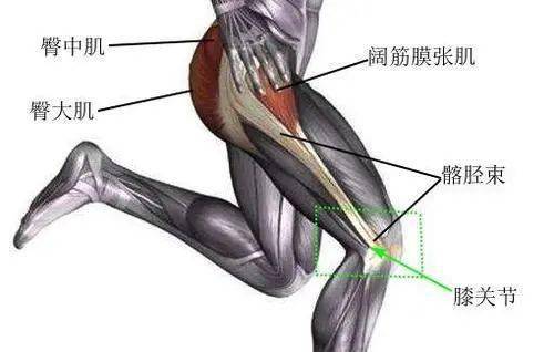 【健康知识二】跑步膝——髂胫束摩擦综合征