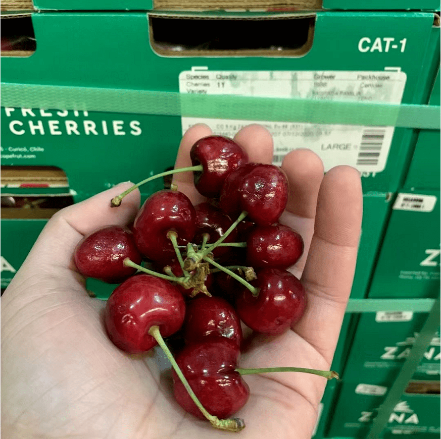 一降到底拉宾斯车厘子专享活动价只需208元一件10斤你还等什么快来