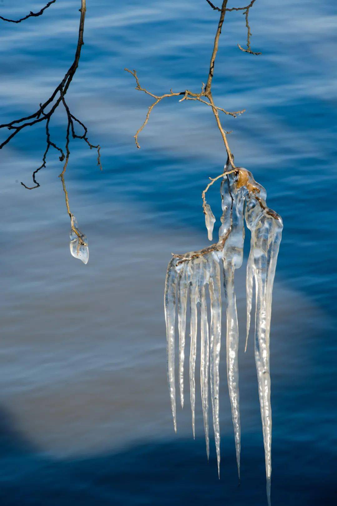 超震撼儿时的冰凌回来了太冻人